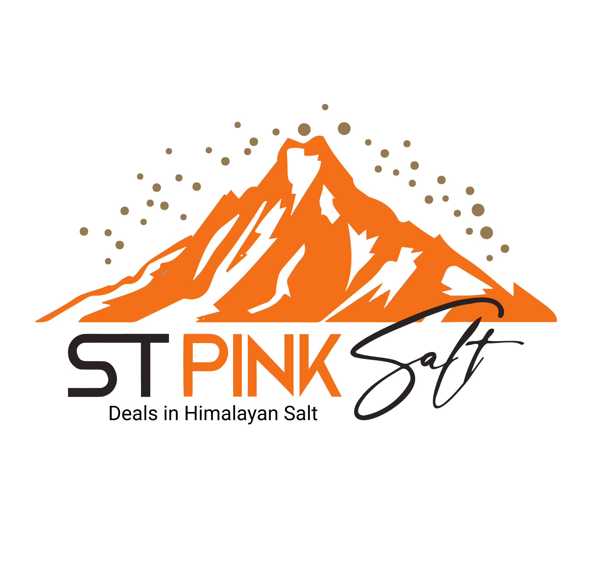 ST Salt -logo-02